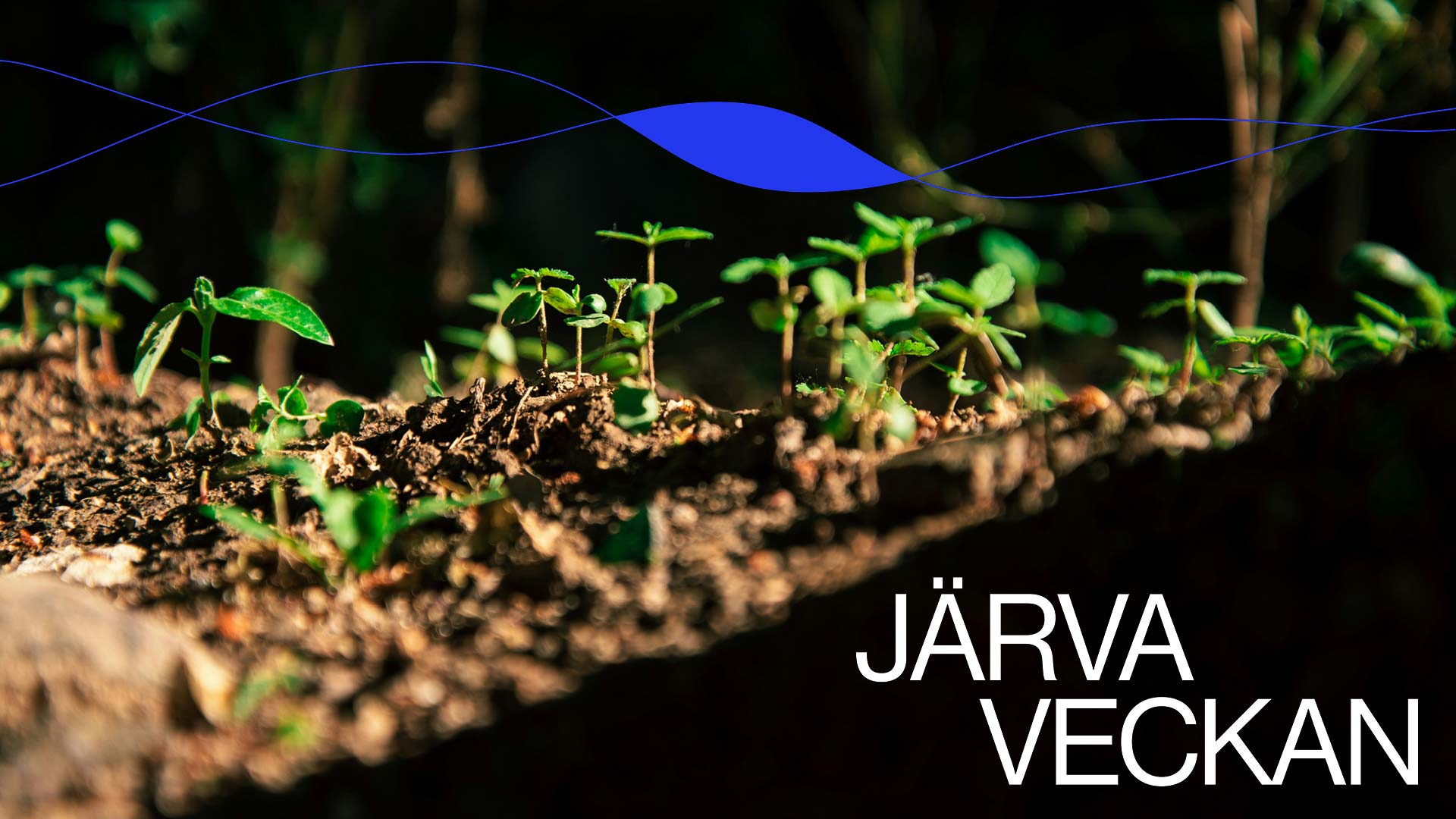 Järvaveckan: Dag 2 – Lär dig om levande jordar